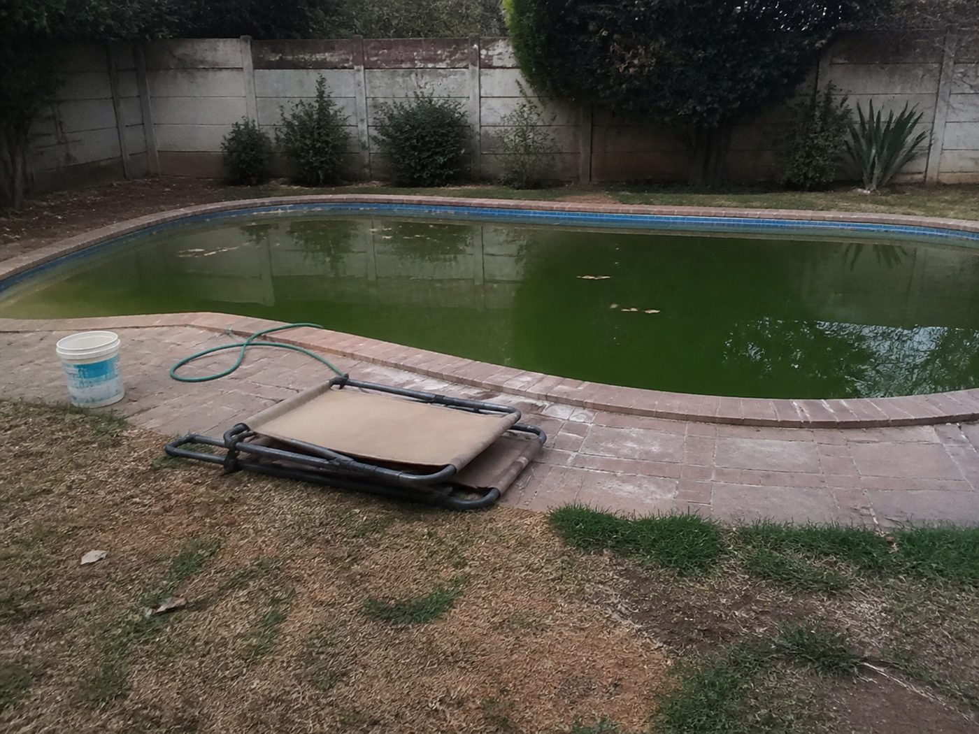 Backyard pool and lawn cleaned up with Refresh (before)